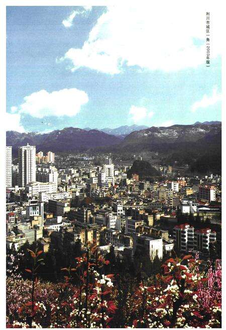 《《利川市志》(1986-2003)》.pdf电子版_湖北省志预览图2