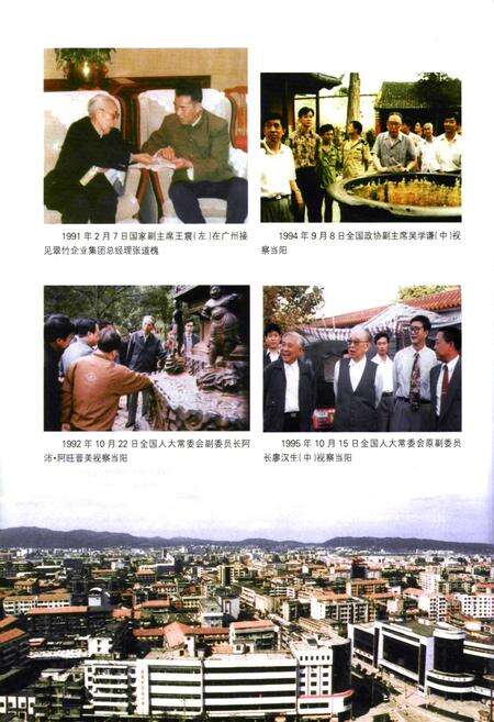 《《当阳市志》(1979-2000)》.pdf电子版_湖北省志预览图4