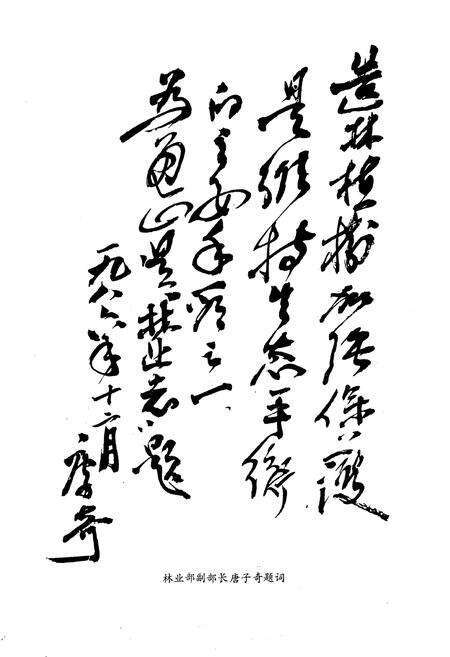 《《通山县林业志》》.pdf电子版_湖北省志预览图4