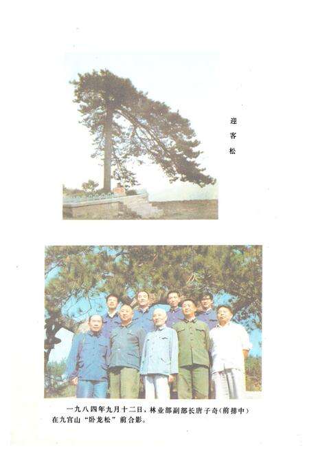 《《通山县林业志》》.pdf电子版_湖北省志预览图5