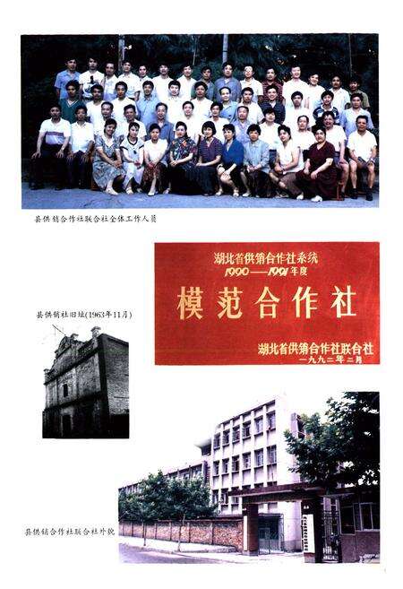 《枝江供销社志(1950-1985)》.pdf电子版_湖北省志预览图2