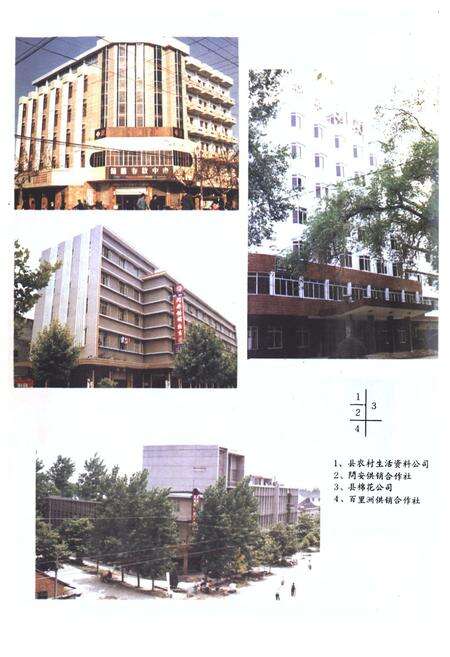 《枝江供销社志(1950-1985)》.pdf电子版_湖北省志预览图3