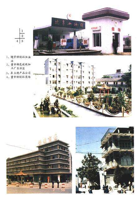 《枝江供销社志(1950-1985)》.pdf电子版_湖北省志预览图4