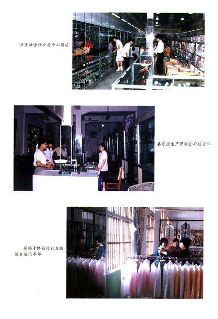 《枝江供销社志(1950-1985)》.pdf电子版_湖北省志预览图5