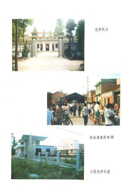 《《小港农场志》》.pdf电子版_湖北省志预览图5