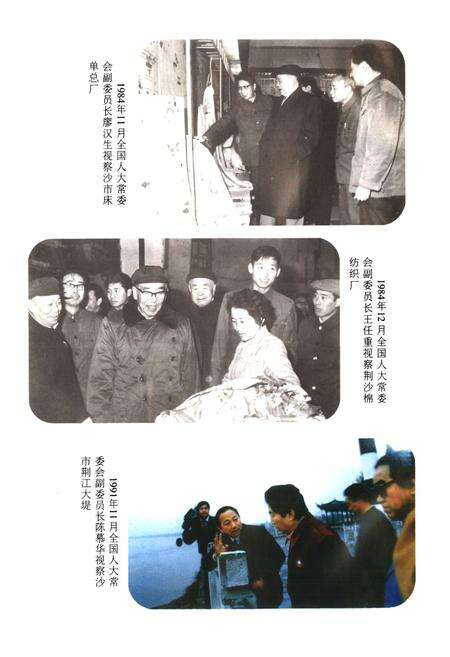 《沙市市人民代表大会志(1949-1994)》.pdf电子版_湖北省志预览图5