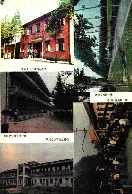 《《老官乡志》》.pdf电子版_湖北省志预览图2