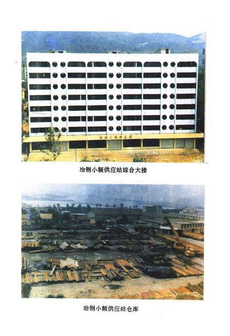 《《冶钢小额供应站志》》.pdf电子版_湖北省志预览图4