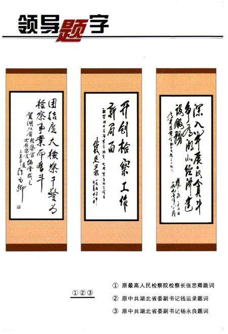 《《湖北检察志》(1978-2000)》.pdf电子版_湖北省志预览图2