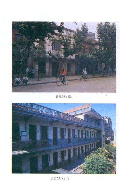 《《嘉鱼县粮食志》》.pdf电子版_湖北省志预览图4