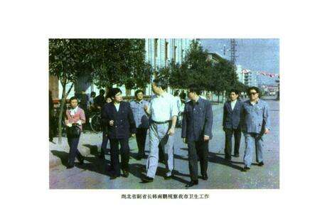 《《卫生志》》.pdf电子版_湖北省志预览图4