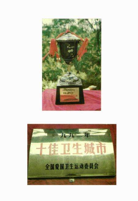 《《卫生志》》.pdf电子版_湖北省志预览图5