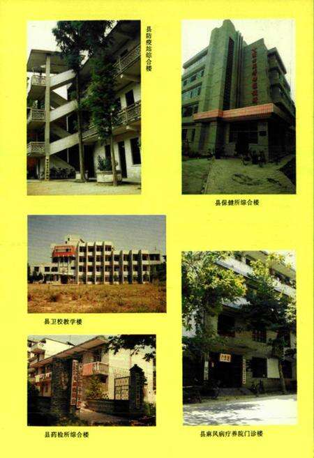 《《罗田县卫生志》(1913-1989)》.pdf电子版_湖北省志预览图5