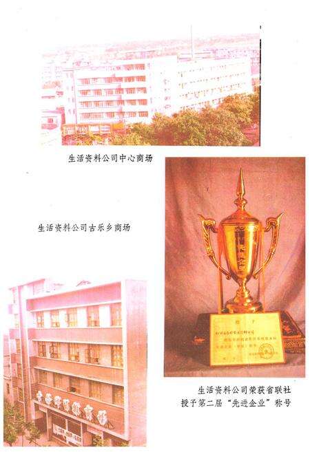 《《松滋县供销合作社志(1939-1985)》》.pdf电子版_湖北省志预览图5