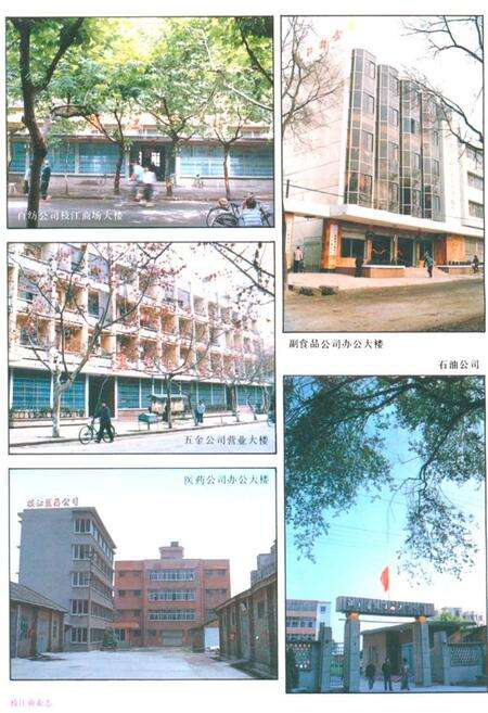 《枝江商业志》.pdf电子版_湖北省志预览图5