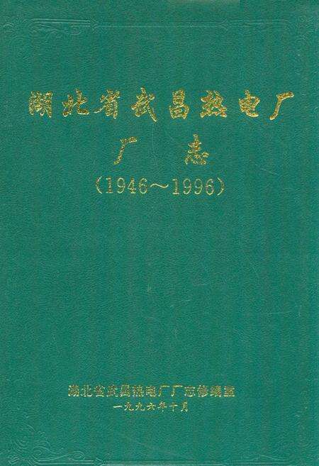 《湖北省武昌热电厂厂志(1946~1996)》.pdf电子版_湖北省志缩略图