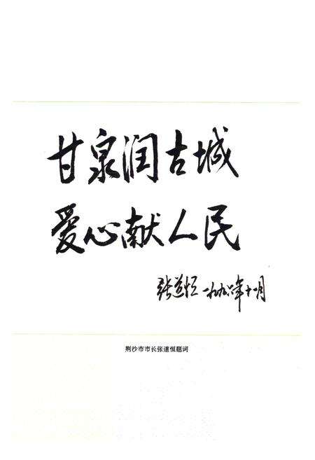 《《荆州城自来水志》》.pdf电子版_湖北省志预览图5