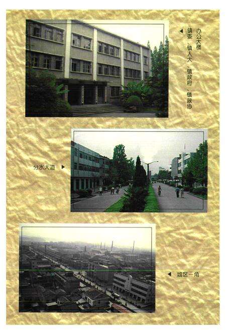 《《分水镇志》》.pdf电子版_湖北省志预览图5