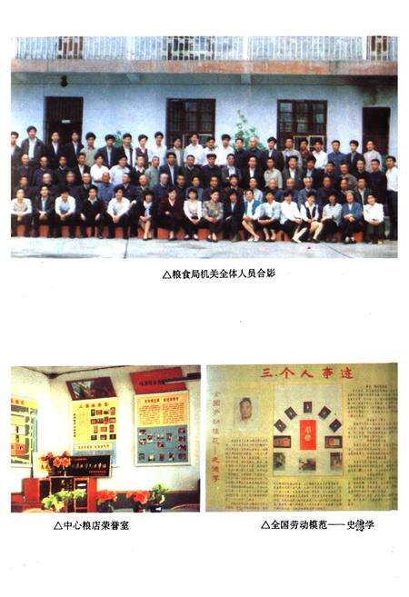 《大悟县粮食志》.pdf电子版_湖北省志预览图5