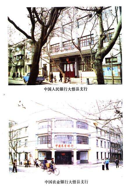 《大悟县金融志(1916-1985)》.pdf电子版_湖北省志预览图4