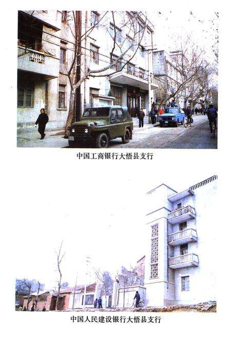 《大悟县金融志(1916-1985)》.pdf电子版_湖北省志预览图5