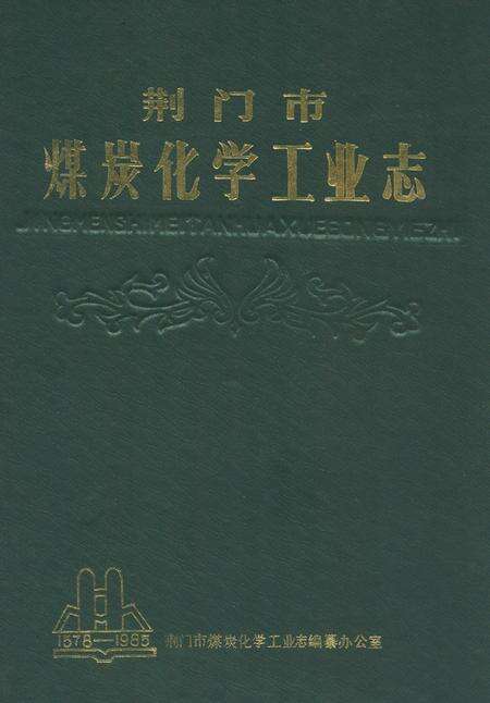 《荆门市煤炭化学工业志》.pdf电子版_湖北省志缩略图