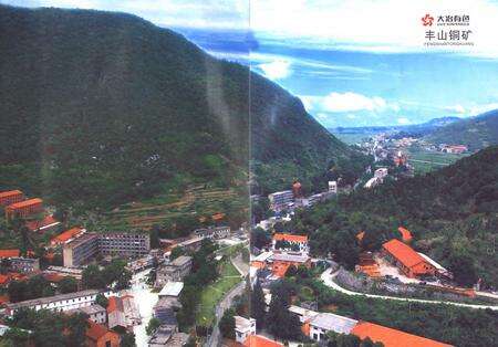 《大治有色丰山矿志》.pdf电子版_湖北省志预览图3