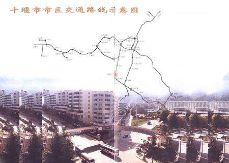 《车架厂分卷(1984-1998)》.pdf电子版_湖北省志预览图3
