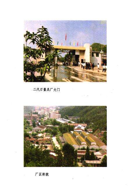 《刃量具厂志1965-1983》.pdf电子版_湖北省志预览图5