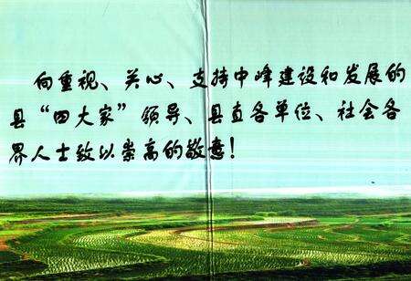 《《竹溪县中峰镇志》(1949-2011)》.pdf电子版_湖北省志预览图2