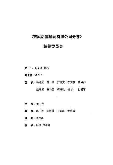 《《东风活塞轴瓦有限公司分卷(1984-1998)》》.pdf电子版_湖北省志预览图2