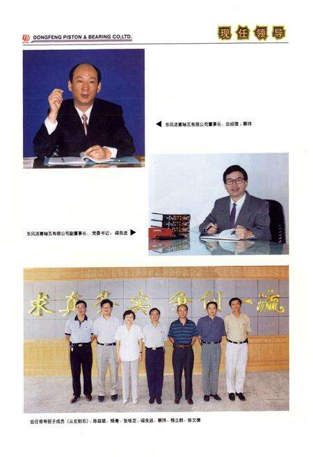 《《东风活塞轴瓦有限公司分卷(1984-1998)》》.pdf电子版_湖北省志预览图5