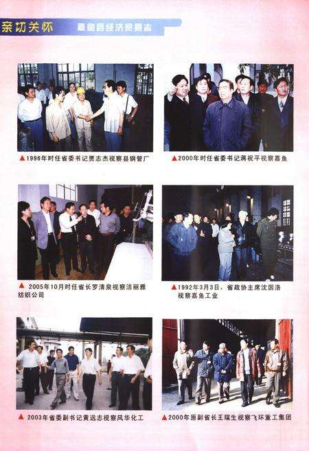 《嘉鱼县经济贸易志(1979-2005)》.pdf电子版_湖北省志预览图4