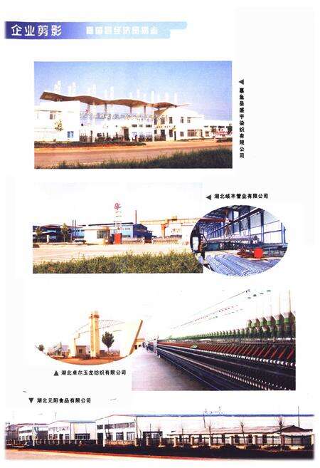 《嘉鱼县经济贸易志(1979-2005)》.pdf电子版_湖北省志预览图5