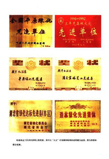 《松滋市林业志(1985-2004年)》.pdf电子版_湖北省志预览图5