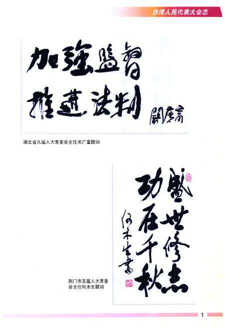 《沙洋人民代表大会志(第一卷)(1987-1998)》.pdf电子版_湖北省志预览图2