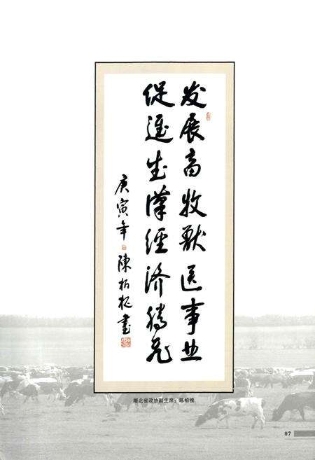 《武汉市畜牧兽医志(1949-2009)》.pdf电子版_湖北省志预览图5