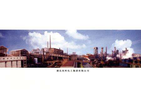 《双环公司志第二卷》.pdf电子版_湖北省志预览图2