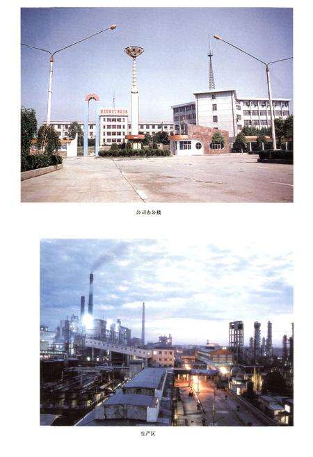 《双环公司志第二卷》.pdf电子版_湖北省志预览图3