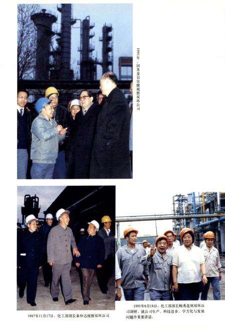 《双环公司志第二卷》.pdf电子版_湖北省志预览图4