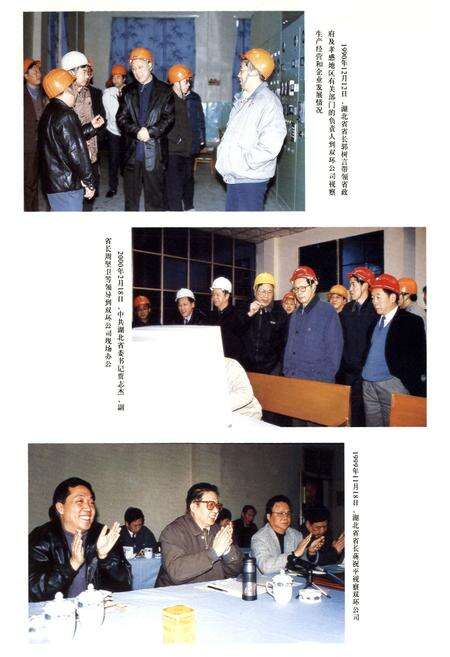 《双环公司志第二卷》.pdf电子版_湖北省志预览图5