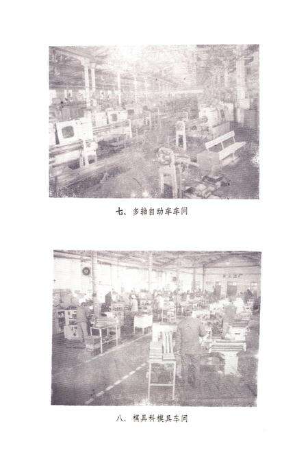《《标准件厂志(1966-1983)》》.pdf电子版_湖北省志预览图5
