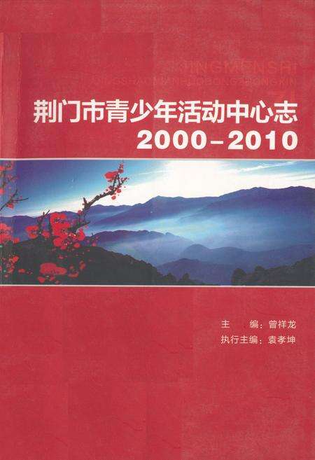 《荆门市青少年活动中心志(2000-2010)》.pdf电子版_湖北省志缩略图