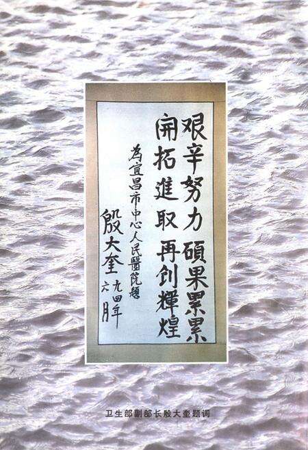 《宜昌市中心人民医院院志》.pdf电子版_湖北省志预览图2