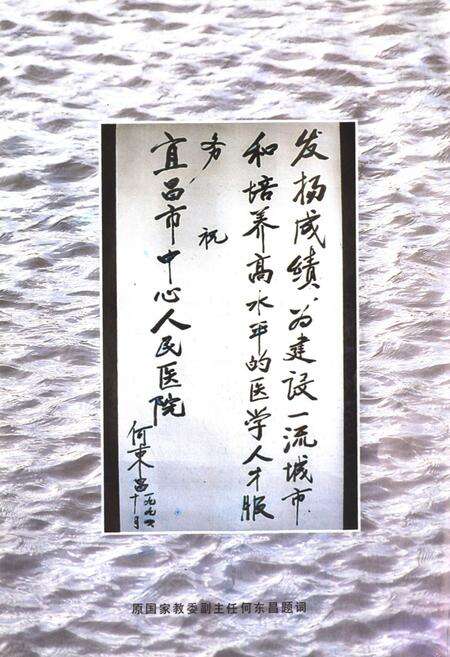 《宜昌市中心人民医院院志》.pdf电子版_湖北省志预览图4