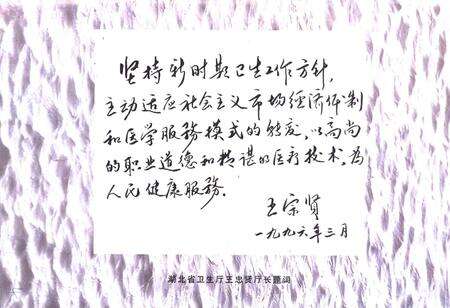 《宜昌市中心人民医院院志》.pdf电子版_湖北省志预览图5