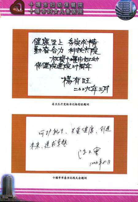 《十堰市妇幼保健院十堰市妇女儿童医院院志(1979.03-2009.03)》.pdf电子版_湖北省志预览图2