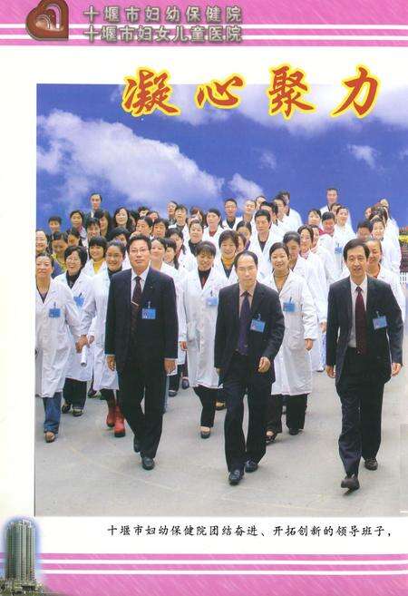 《十堰市妇幼保健院十堰市妇女儿童医院院志(1979.03-2009.03)》.pdf电子版_湖北省志预览图3