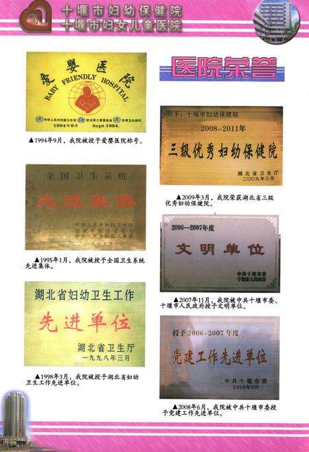 《十堰市妇幼保健院十堰市妇女儿童医院院志(1979.03-2009.03)》.pdf电子版_湖北省志预览图5