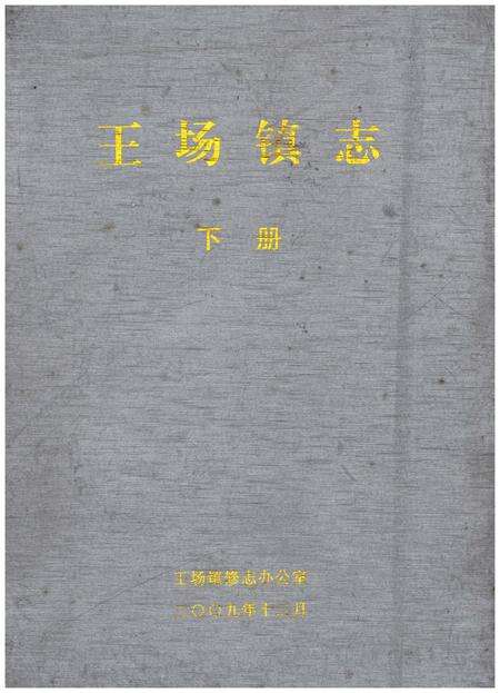 《王场镇志（下册）》.pdf电子版_湖北省志缩略图
